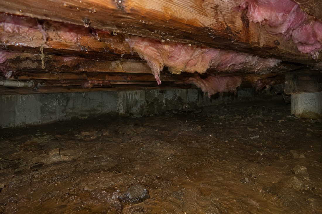 Damp crawl space with moisture on the soil under an Asheville, NC home
